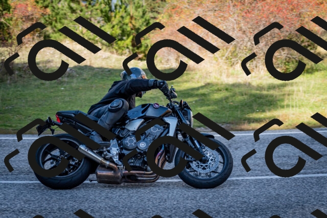 202510191251-DSC_9269_c2