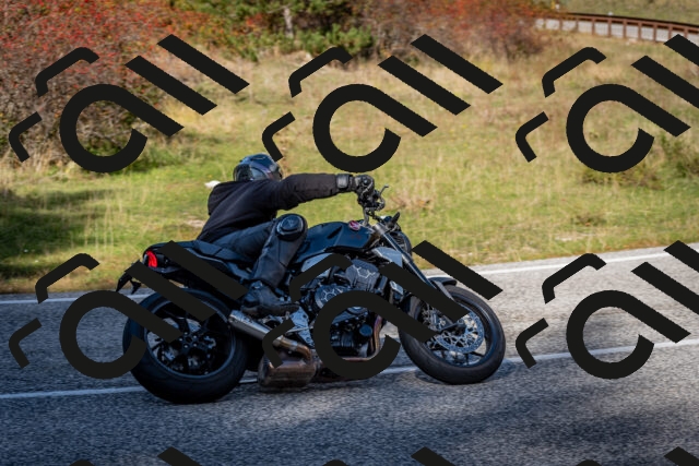 202510191251-DSC_9270_c2