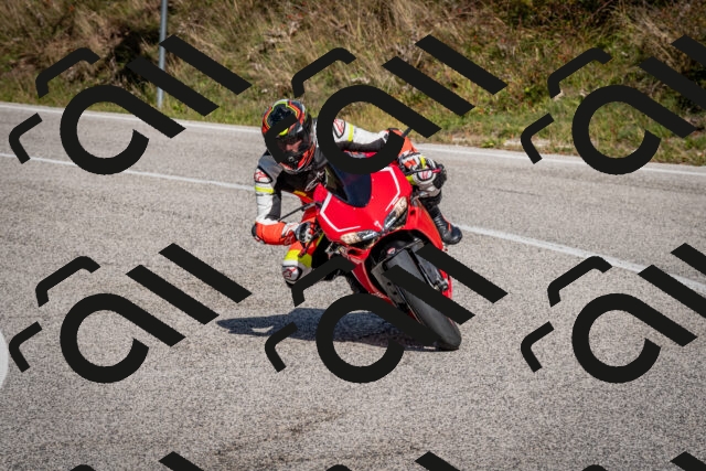 202510191251-DSC_9271_c2