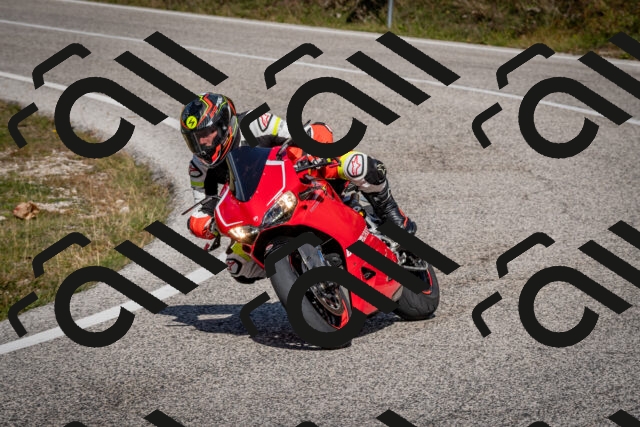 202510191251-DSC_9272_c2