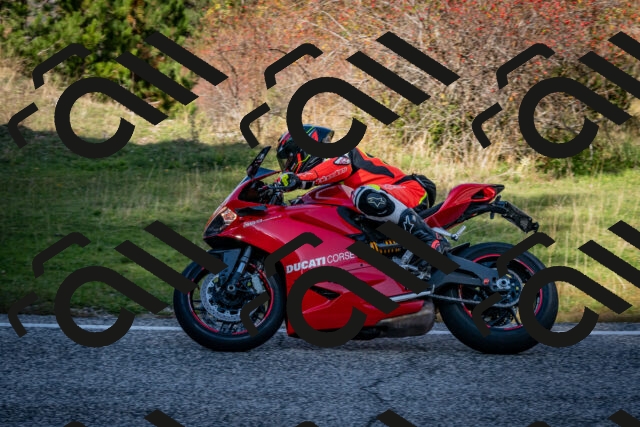 202510191251-DSC_9274_c2