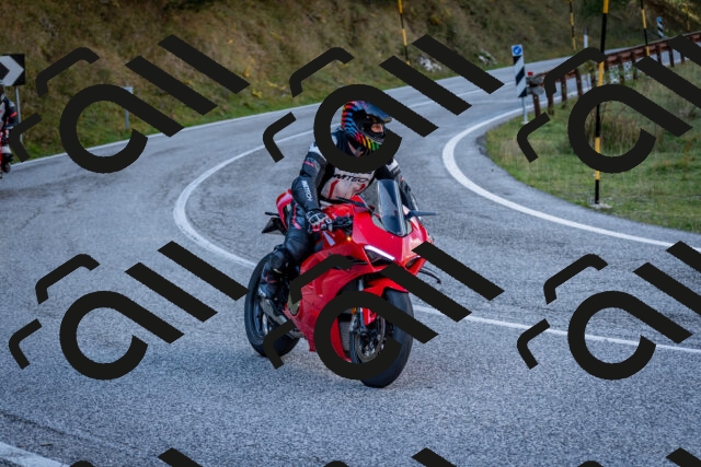 202510191251-DSC_9281_c2