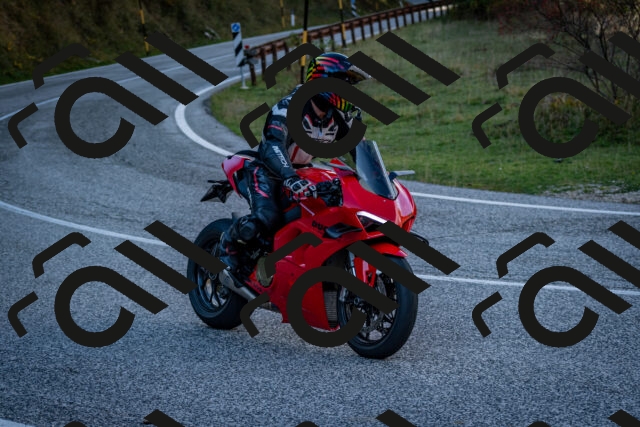 202510191251-DSC_9282_c2