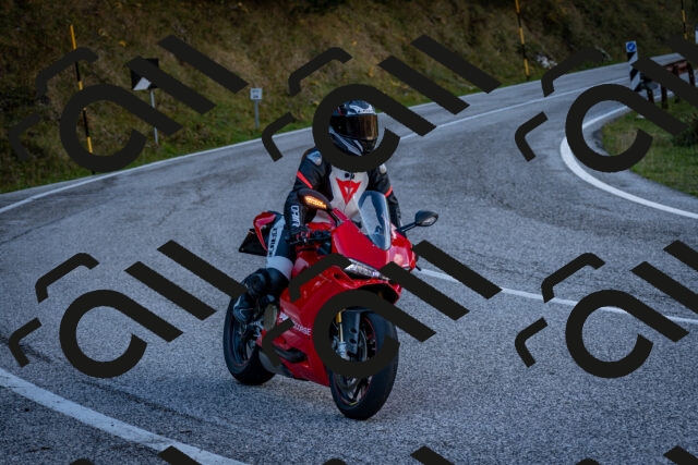 202510191251-DSC_9283_c2