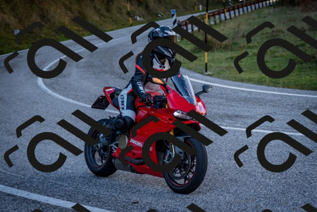 202510191251-DSC_9284_c2