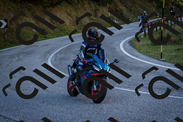 202510191251-DSC_9286_c2