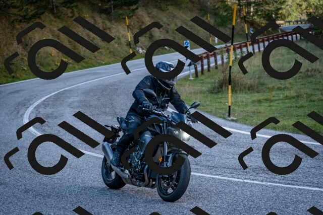 202510191252-DSC_9287_c2