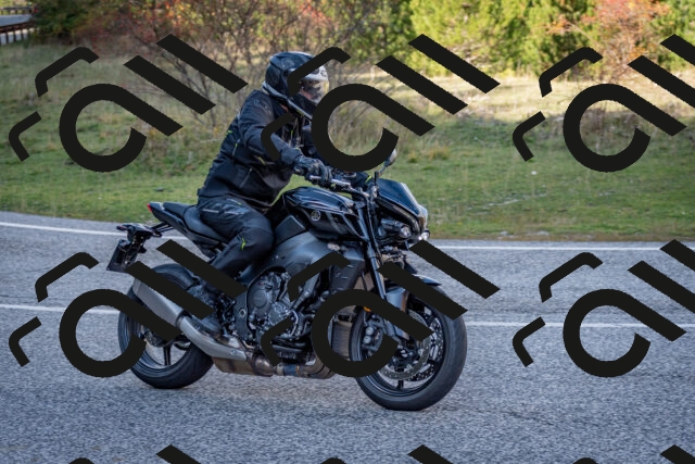 202510191252-DSC_9288_c2