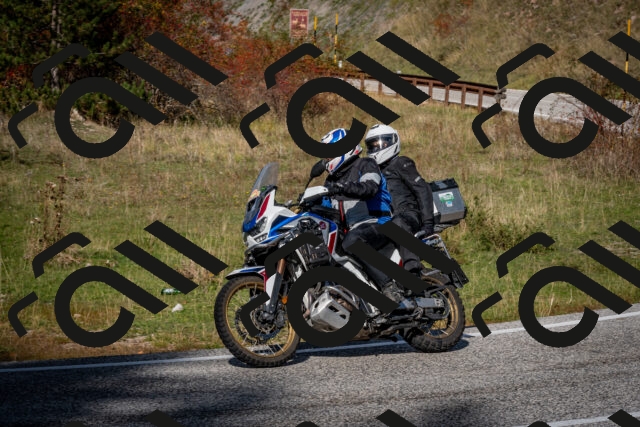 202510191252-DSC_9291_c2