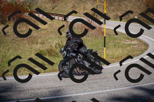 202510191252-DSC_9292_c2