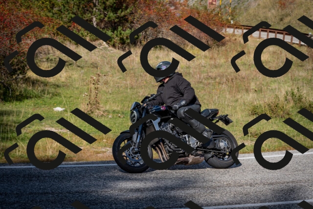 202510191252-DSC_9293_c2