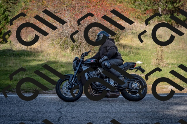 202510191252-DSC_9294_c2