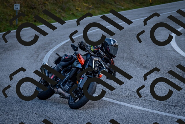 202510191252-DSC_9301_c2