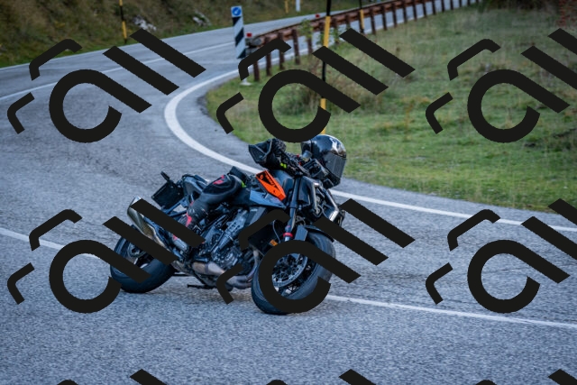 202510191252-DSC_9302_c2