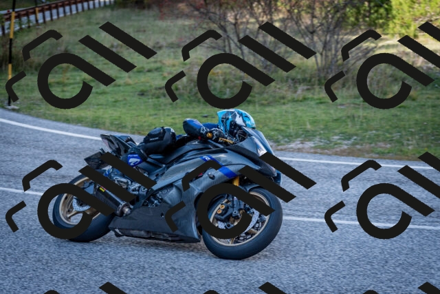 202510191253-DSC_9304_c2