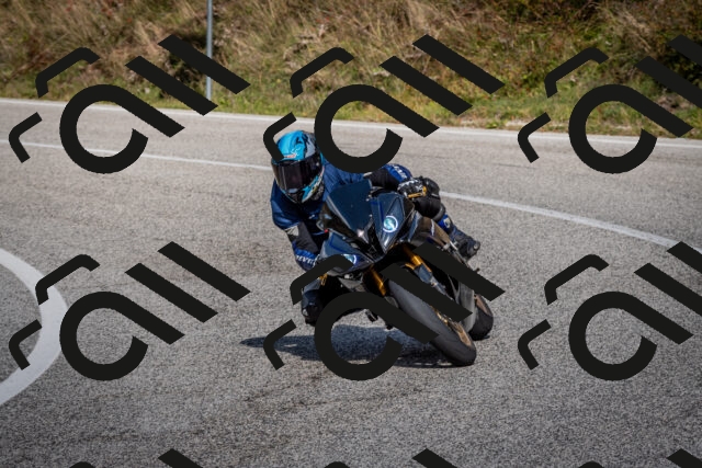 202510191253-DSC_9316_c2