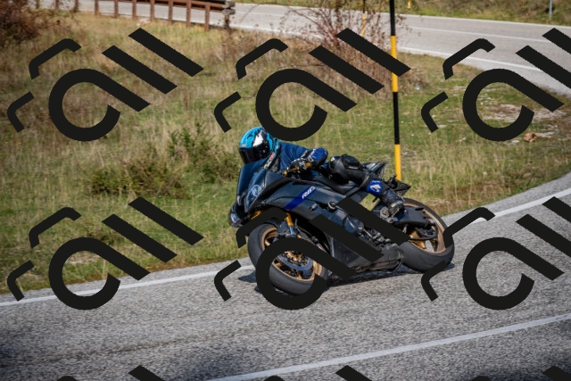 202510191253-DSC_9318_c2