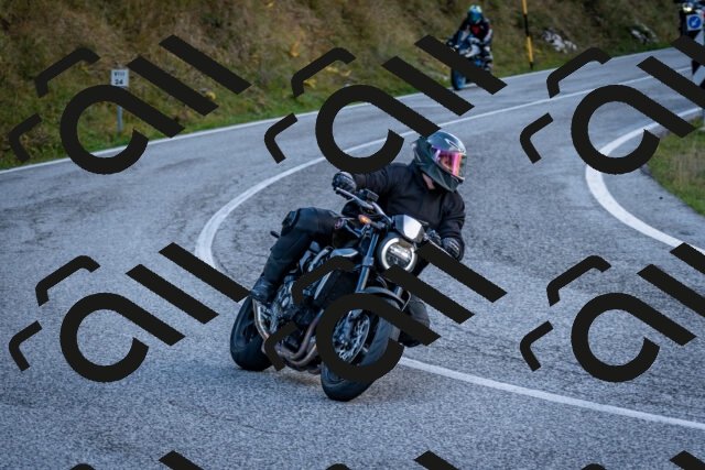 202510191254-DSC_9320_c2