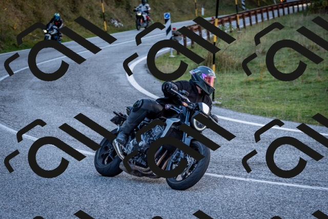 202510191254-DSC_9321_c2