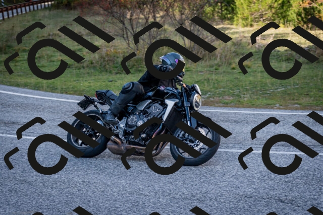 202510191254-DSC_9322_c2