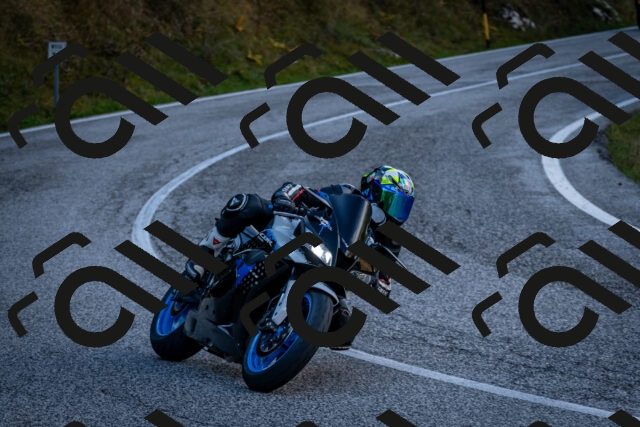 202510191254-DSC_9324_c2