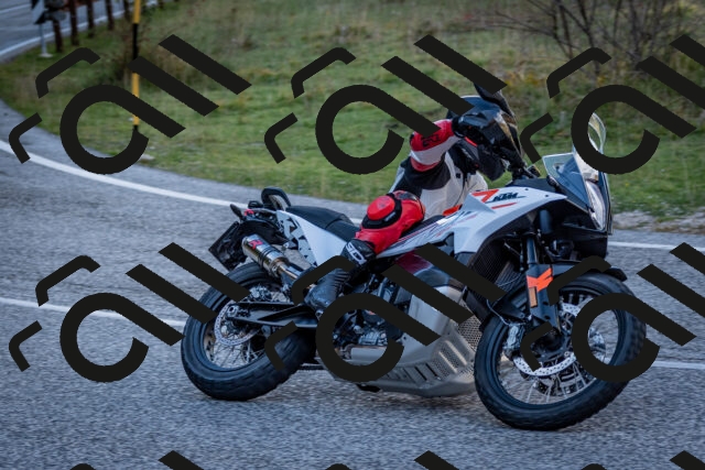 202510191254-DSC_9327_c2