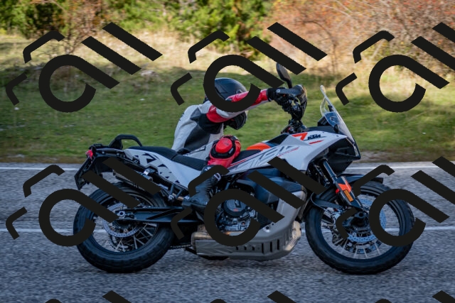 202510191254-DSC_9328_c2