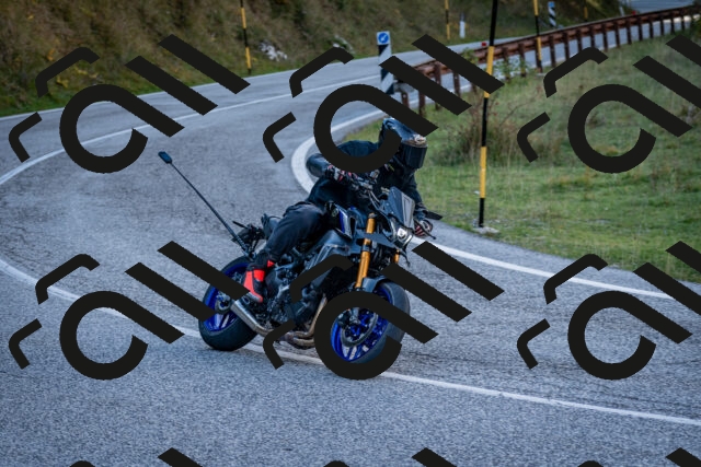 202510191254-DSC_9330_c2