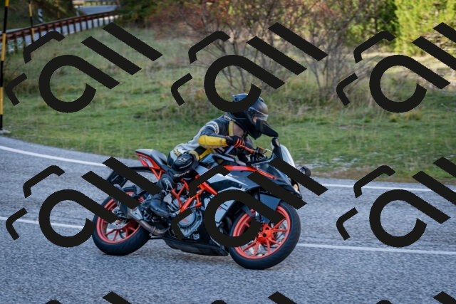 202510191254-DSC_9332_c2