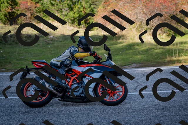 202510191254-DSC_9333_c2