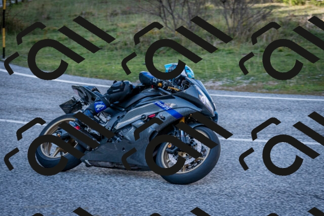 202510191254-DSC_9337_c2