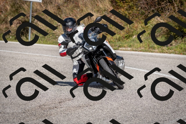 202510191255-DSC_9340_c2