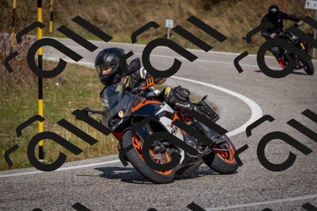 202510191255-DSC_9344_c2