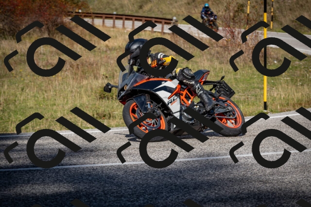 202510191255-DSC_9345_c2