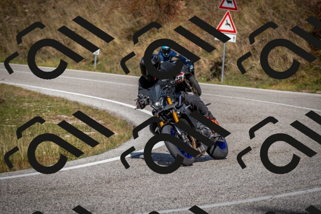 202510191255-DSC_9346_c2