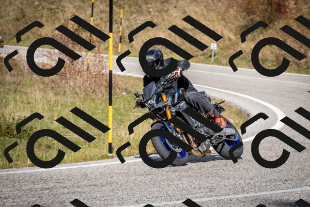 202510191255-DSC_9347_c2