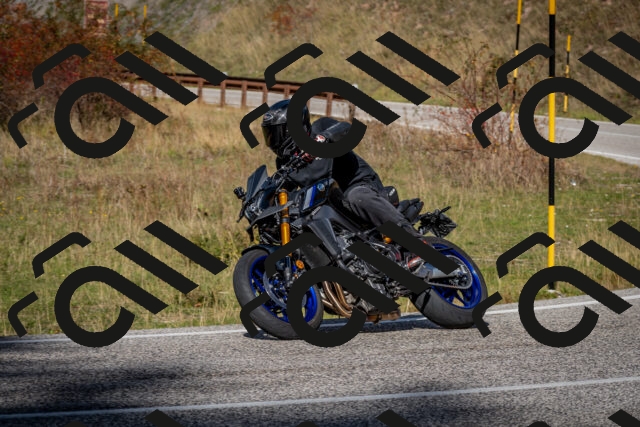 202510191255-DSC_9348_c2