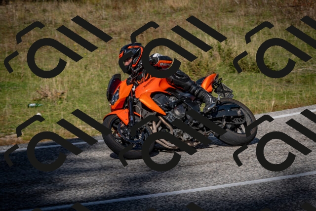 202510191256-DSC_9360_c2