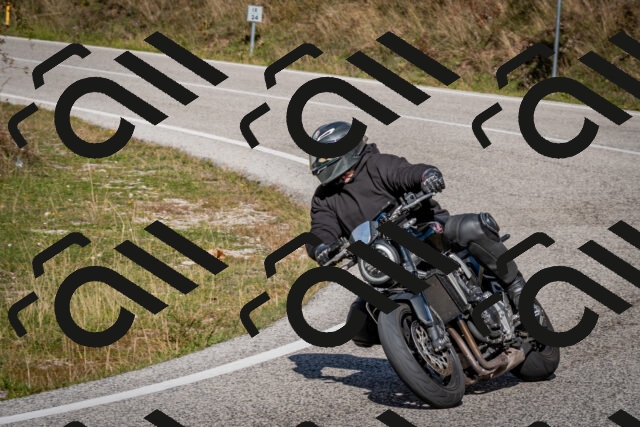 202510191256-DSC_9362_c2