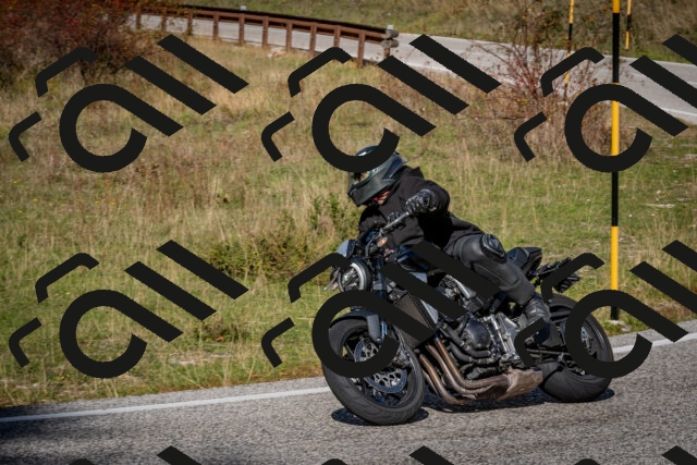 202510191256-DSC_9363_c2