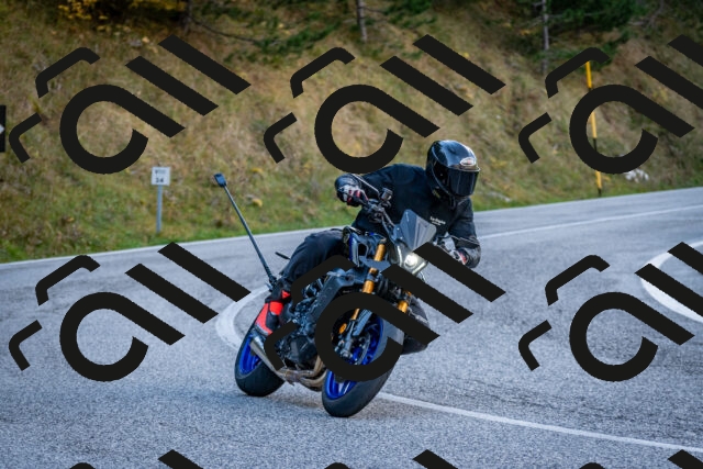 202510191257-DSC_9372_c2