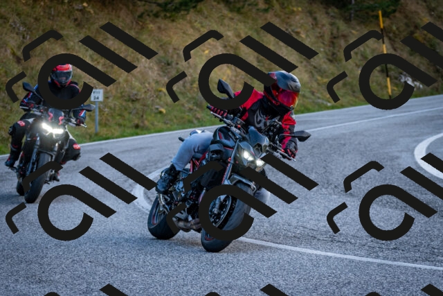 202510191257-DSC_9374_c2