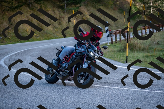 202510191257-DSC_9375_c2