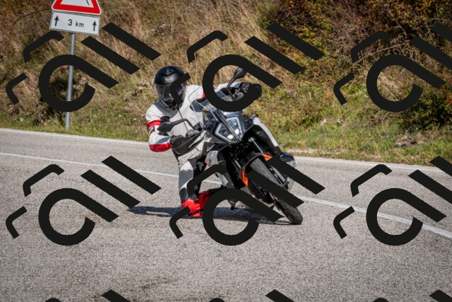 202510191257-DSC_9381_c2