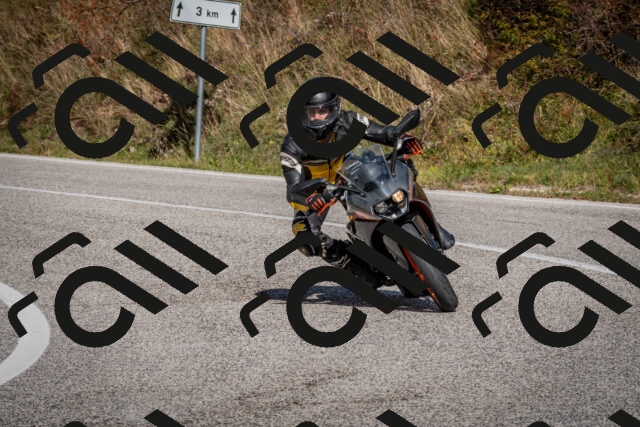 202510191257-DSC_9384_c2