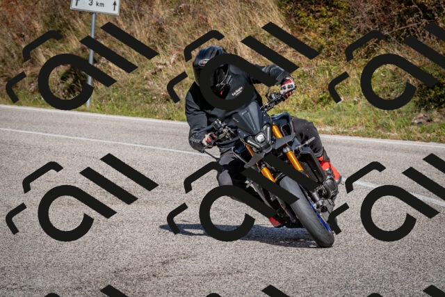 202510191257-DSC_9386_c2