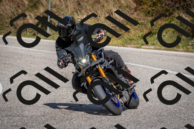 202510191257-DSC_9387_c2