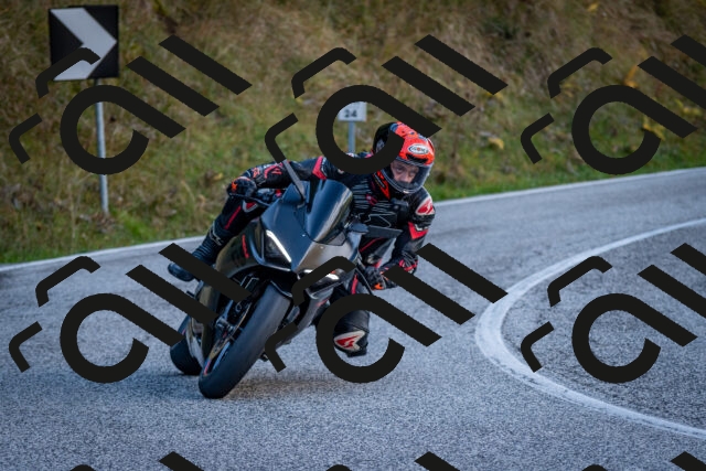 202510191258-DSC_9389_c2