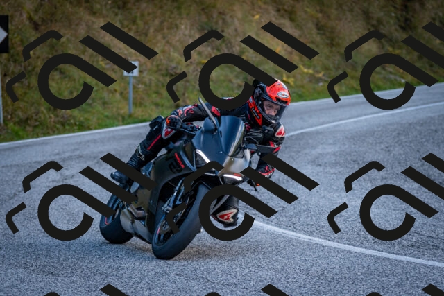 202510191258-DSC_9390_c2