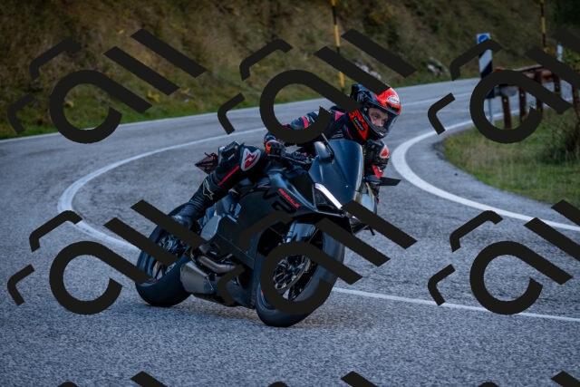 202510191258-DSC_9391_c2